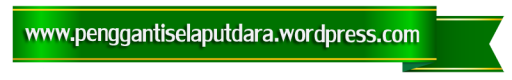 www.penggantiselaputdara.wordpress.com